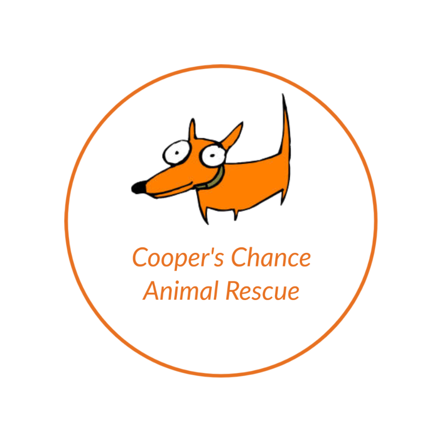 Cooper's Chance Animal Rescue logo