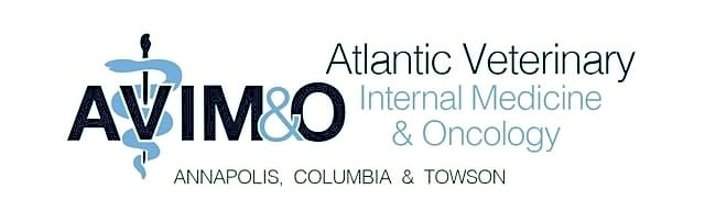 ATLANTIC VETERINARY INTERNAL MEDICINE & ONCOLOGY logo