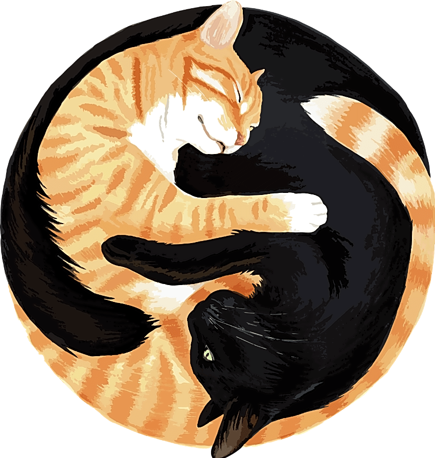 Cole and Marmalade logo