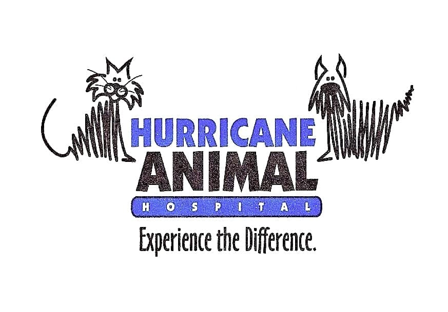 Hurricane Animal Hospital logo