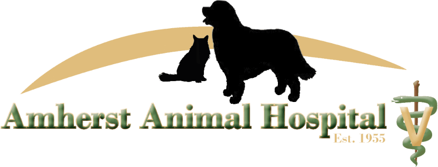 Amherst Animal Hospital logo