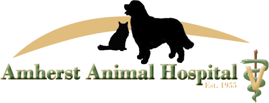 Amherst Animal Hospital logo