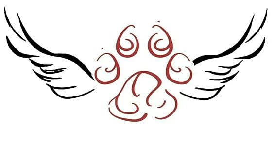 Kay Animal Hospital logo