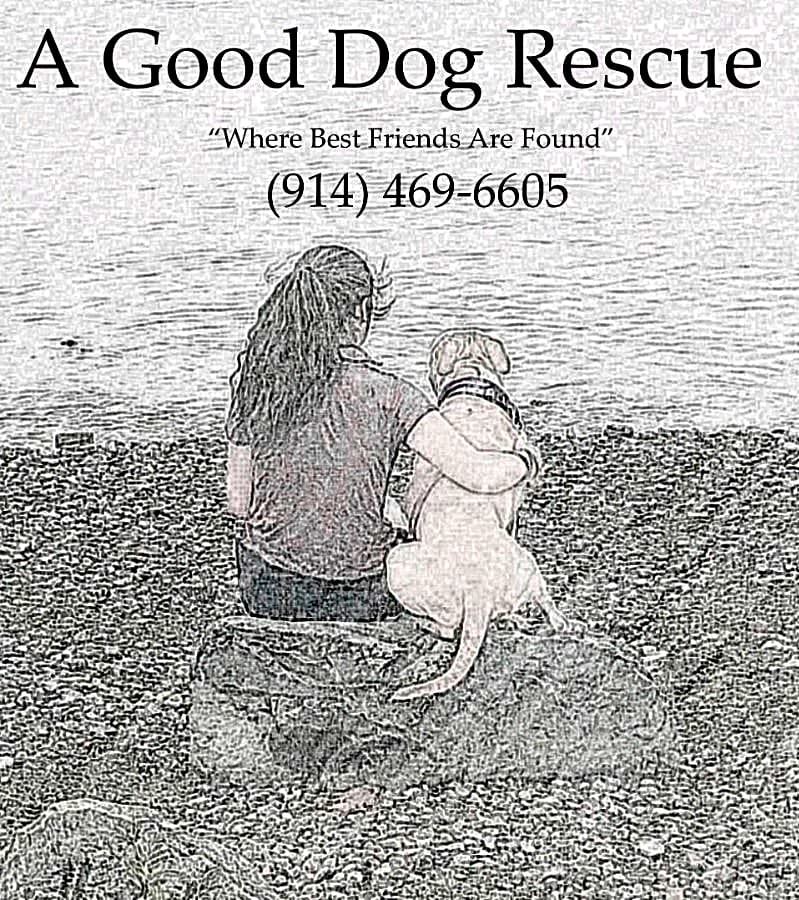 A Good Dog Rescue logo