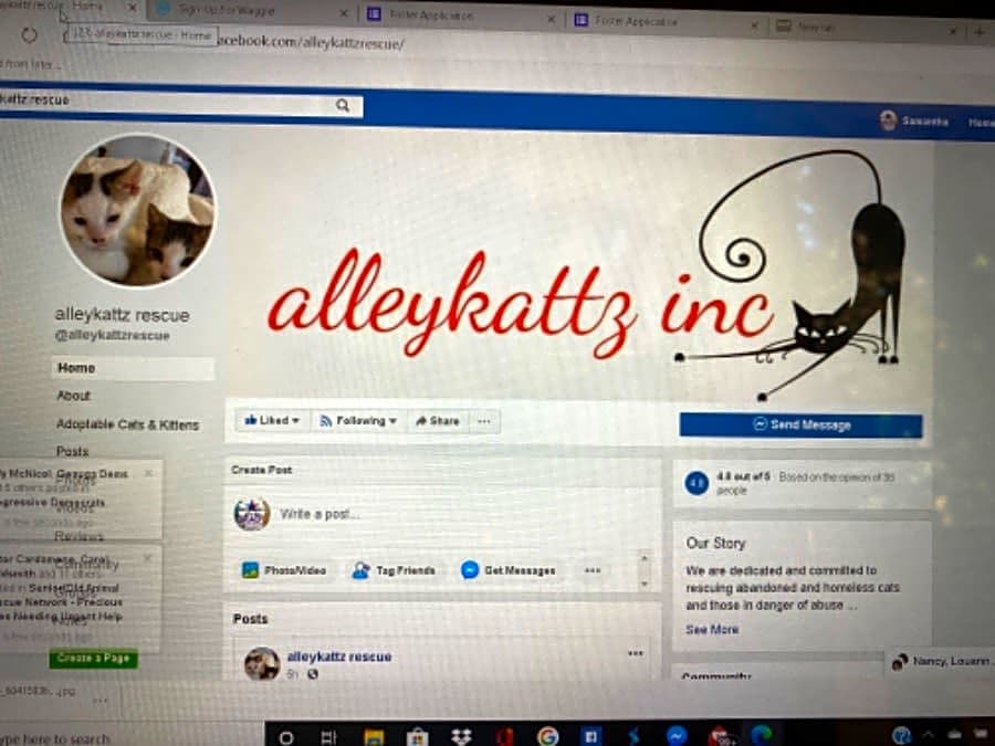 alleykattz rescue inc logo