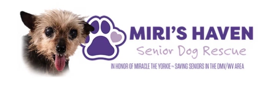 Miri’s Haven Senior Dog Rescue logo
