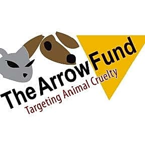 The Arrow Fund logo