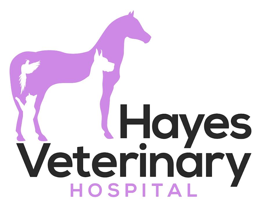 Hayes Veterinary Hospital logo