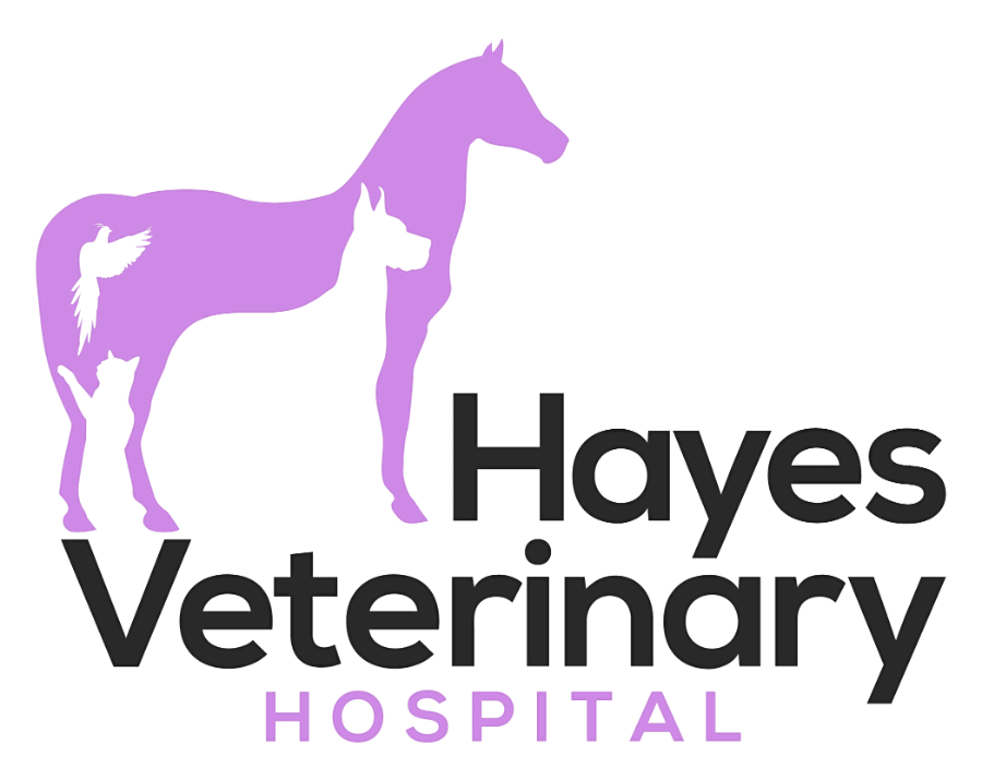 Hayes Veterinary Hospital logo