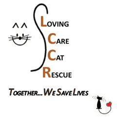 Loving Care Cat Rescue logo