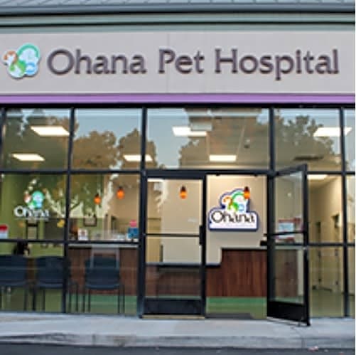 Ohana Pet Hospital logo