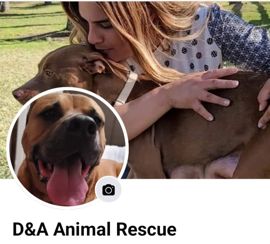 D&A Animal Rescue logo