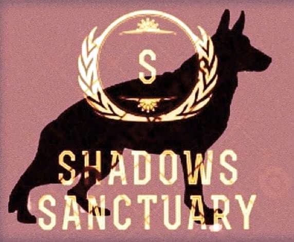 Shadows Sanctuary logo