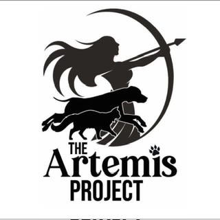 The Artemis Project logo