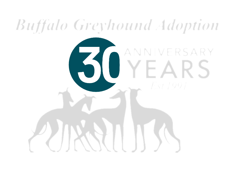 Buffalo Greyhound Adoption logo