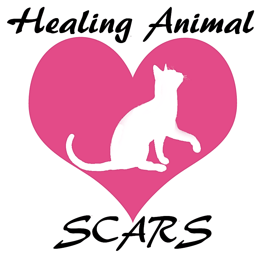 Healing Animal SCARS logo