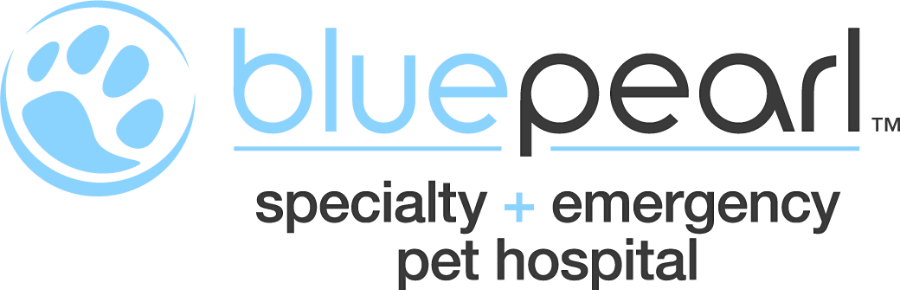 Bluepearl logo