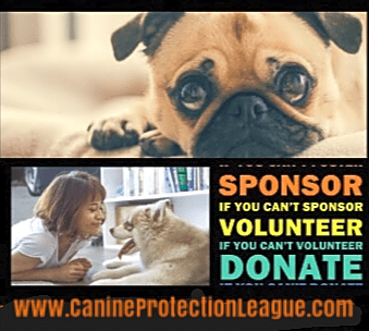 Canine Protection League logo