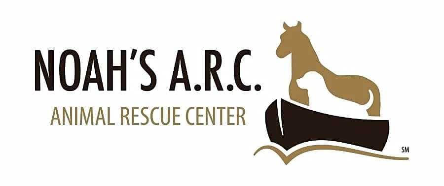 Noahs ARC logo