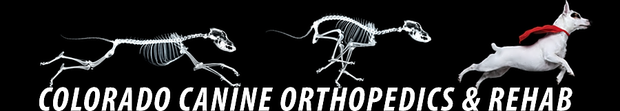 Colorado Canine Orthopedics and Rehab logo