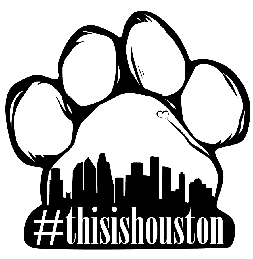 ThisIsHouston logo