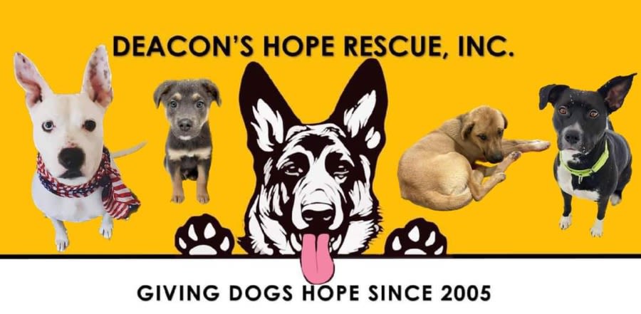 Deacon's Hope Rescue Inc. logo