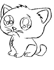 Save 4 Paws rescue inc logo
