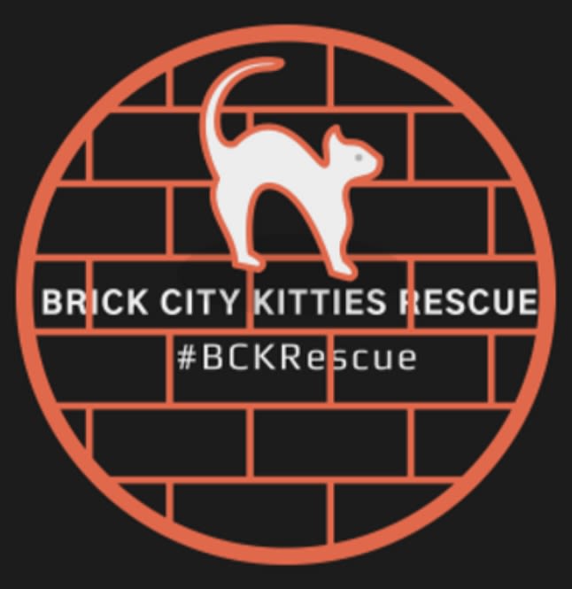 Brick City Kitties Rescue Inc logo