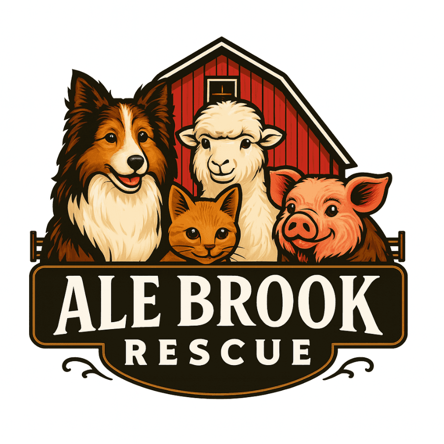 Ale Brook Rescue Corporation logo