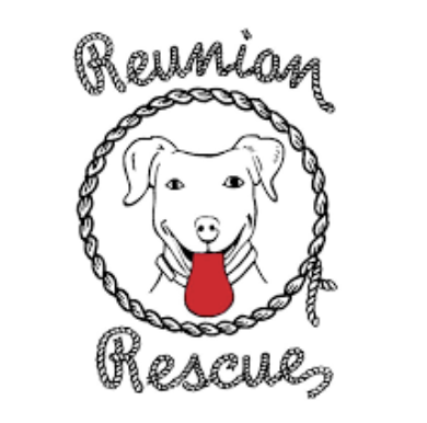 Reunion Rescue logo