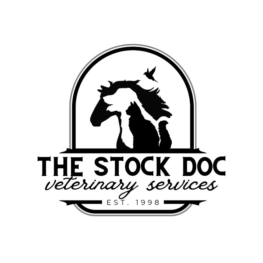The Stock Doc logo