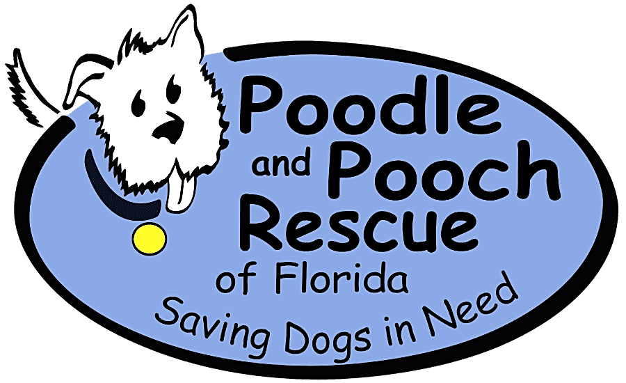 Poodle and Pooch Rescue of Florida logo