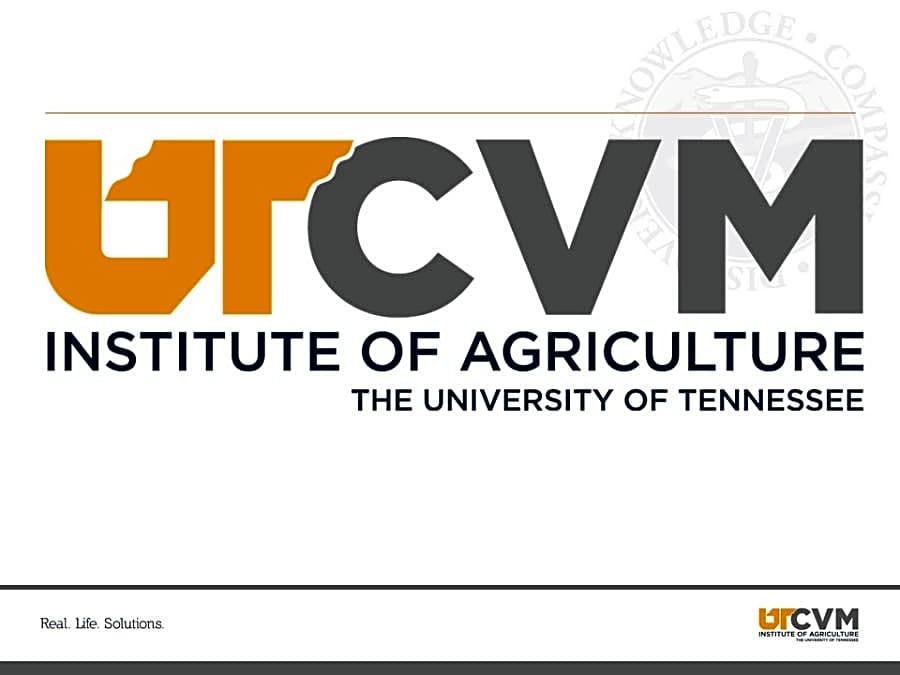 UT veterinary medical center logo