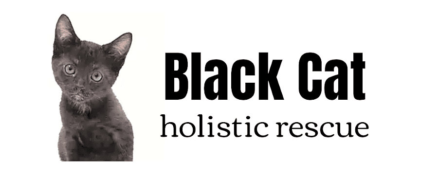 Black Cat Holistic Rescue Inc. logo