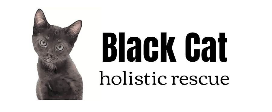 Black Cat Holistic Rescue Inc. logo