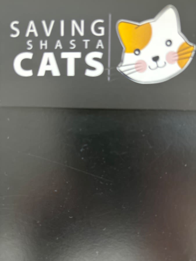 Saving Shasta Cats logo