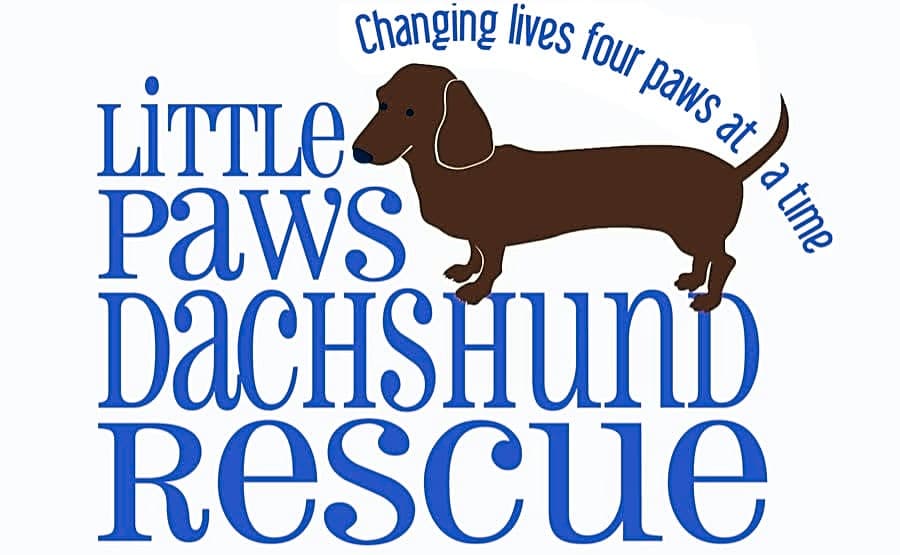 Little Paws Dachshund Rescue logo