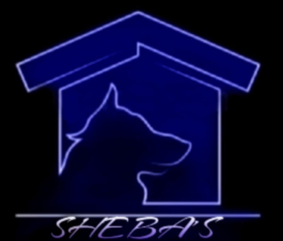 Sheba's logo