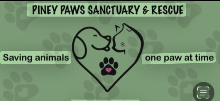 Piney Paws Sanctuary and rescue logo