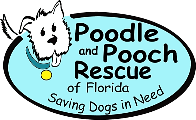 Poodle and Pooch Rescue of Florida logo
