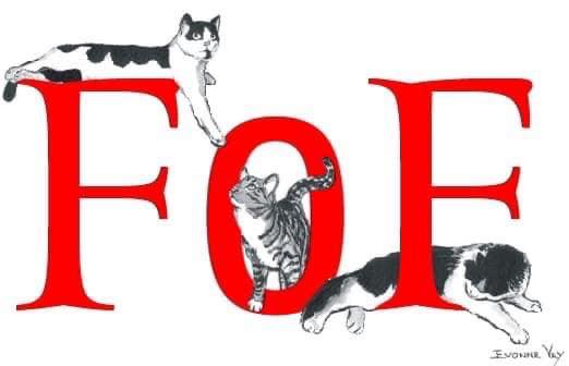 Friends of Felines Inc logo