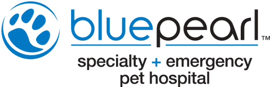 Blue Pearl OVS (Oncology) logo