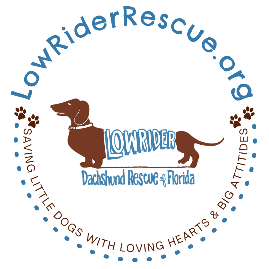 Low Rider Dachshund Rescue of FL logo