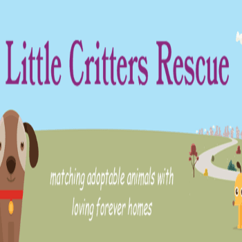 Little Critters Rescue logo