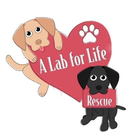 A Lab for Life logo