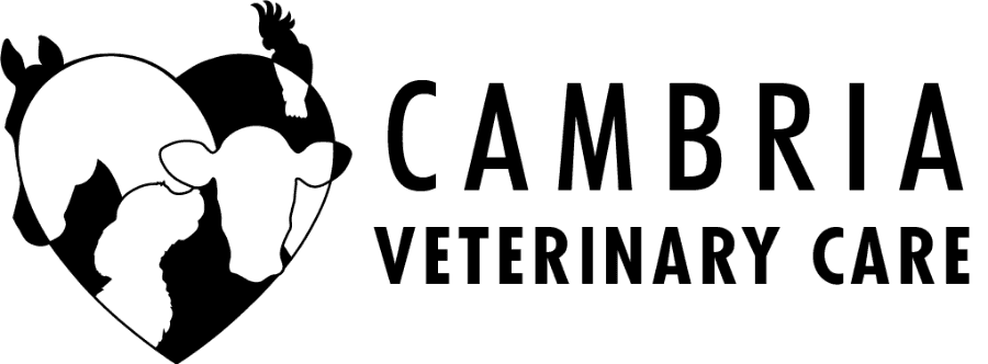 Cambria Veterinary Care logo