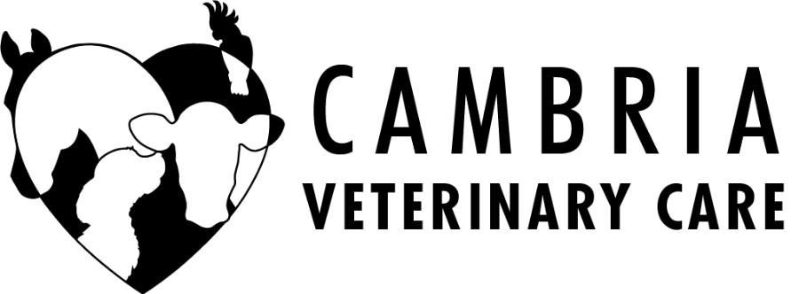Cambria Veterinary Care logo