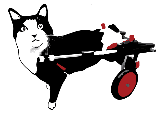 SNAP Cats logo