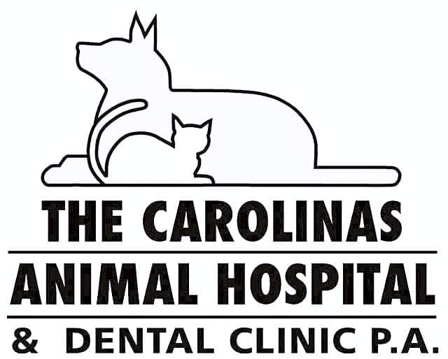 The Carolinas Animal Hospital Dental Clinic logo
