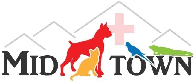 Midtown Animal Hospital logo
